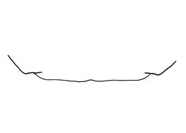   Anthidium tenuiflorae  female, diagram showing the dorsal view of the sixth tergite (T6), diagram from Gonzalez and Griswold 2013 
